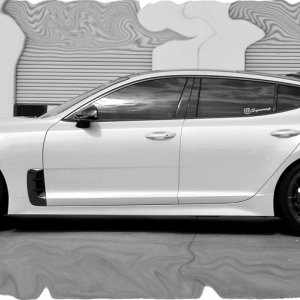 Kia_Stinger_Eibach_Lowering_Springs_1024x1024.jpg